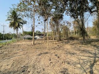 For sale land in Mae Rim, Chiang Mai