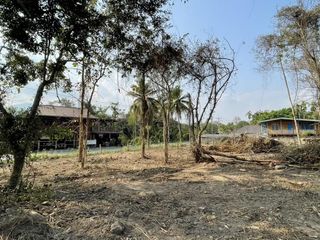 For sale land in Mae Rim, Chiang Mai