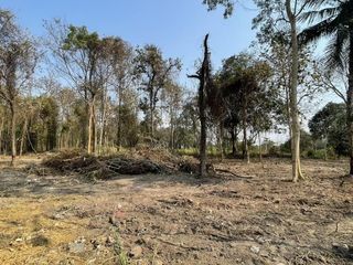 For sale land in Mae Rim, Chiang Mai