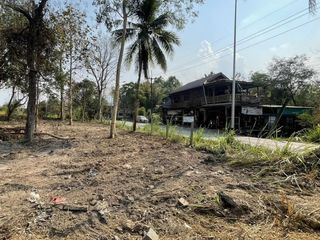 For sale land in Mae Rim, Chiang Mai