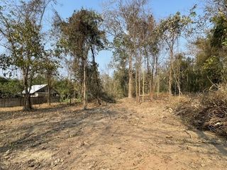For sale land in Mae Rim, Chiang Mai