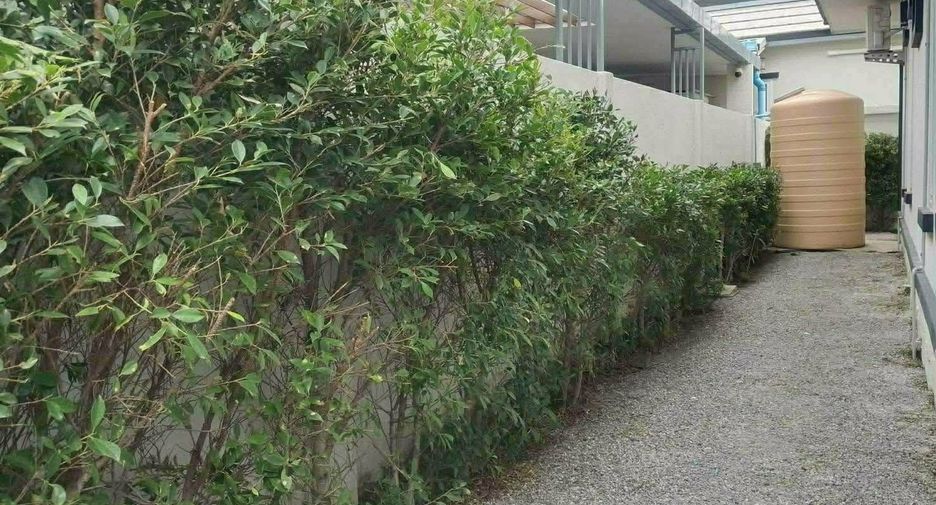 For rent 3 bedrooms house in Hua Hin, Prachuap Khiri Khan