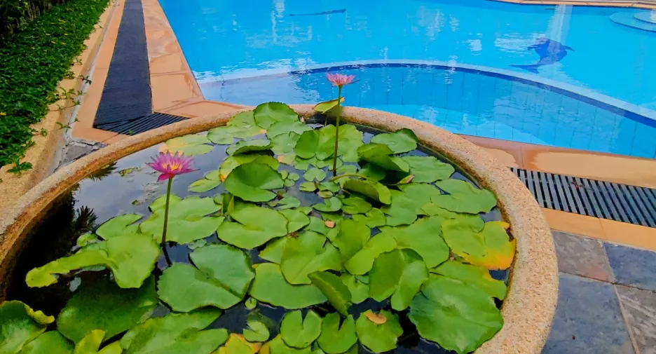 For sale 6 bedrooms villa in Hua Hin, Prachuap Khiri Khan