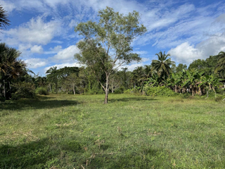 For sale land in Thalang, Phuket