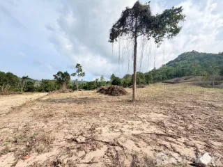 Grundstück zum Kauf in Ko Samui, Surat Thani