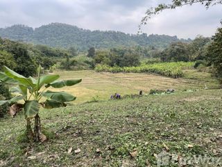 For sale land in Mae Taeng, Chiang Mai