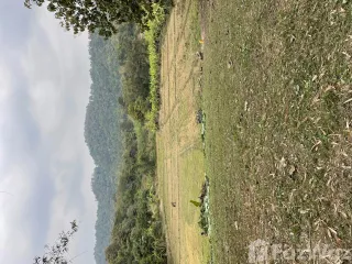 À vendre terrain à Mae Taeng, Chiang Mai