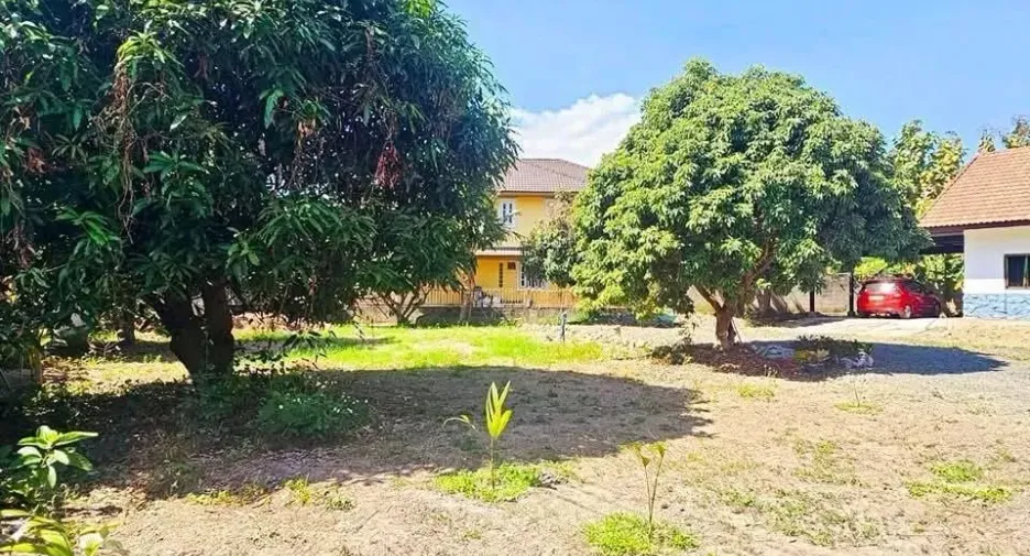 For sale and for rent 3 bedrooms house in Mueang Chiang Mai, Chiang Mai