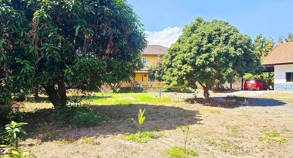 For sale and for rent 3 bedrooms house in Mueang Chiang Mai, Chiang Mai