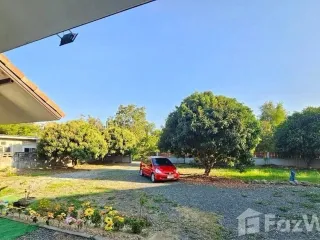 For sale and for rent 3 bedrooms house in Mueang Chiang Mai, Chiang Mai