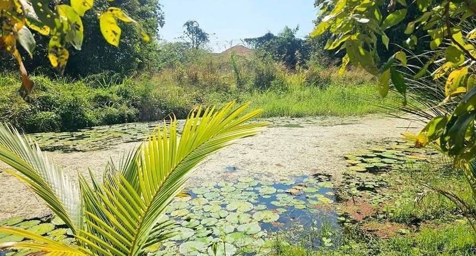 For sale and for rent 3 bedrooms house in Mueang Chiang Mai, Chiang Mai