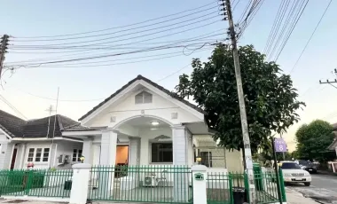 For rent 4 bedrooms house in San Sai, Chiang Mai