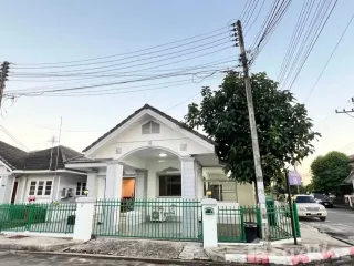For Rent 4 Bedroom House In San Sai, Chiang Mai