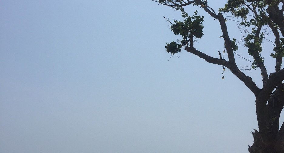 出售 土地 在 华欣, 班武里府