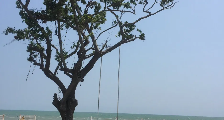À vendre terrain à Hua Hin, Prachuap Khiri Khan