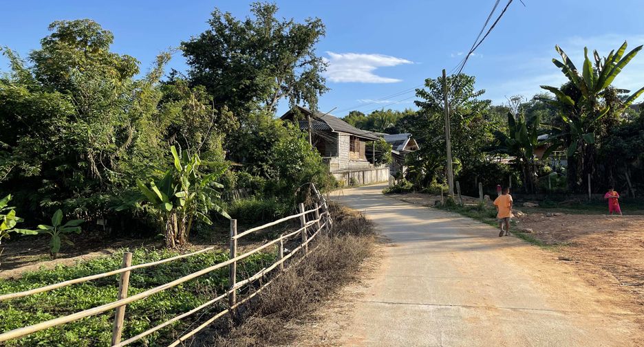 Grundstück zum Kauf in Mae Rim, Chiang Mai