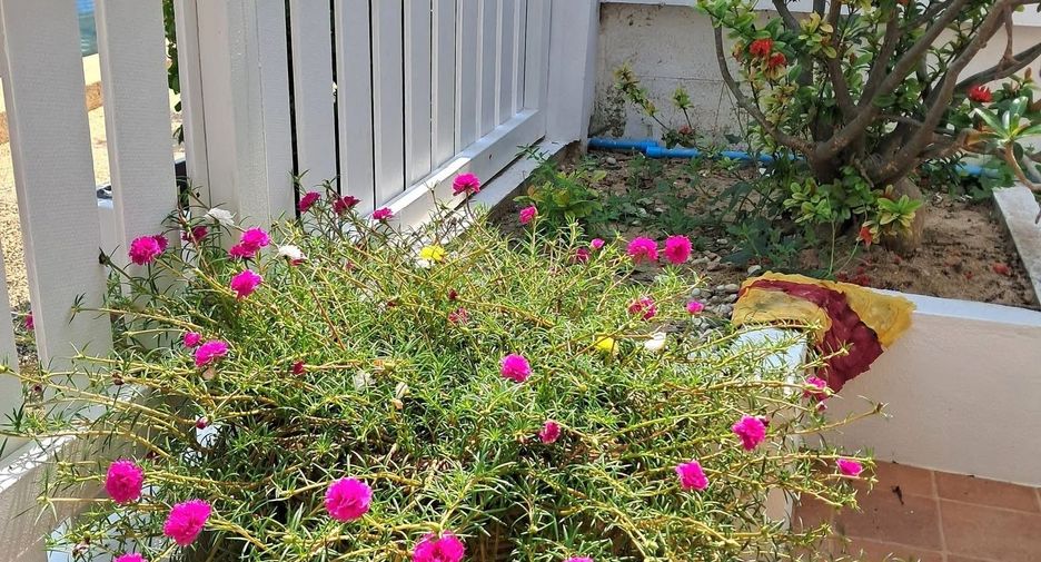 For sale 2 bedrooms house in Cha Am, Phetchaburi