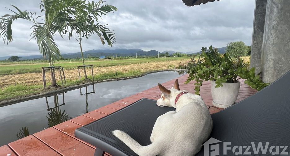 For sale and for rent 3 bedrooms house in Mae Taeng, Chiang Mai