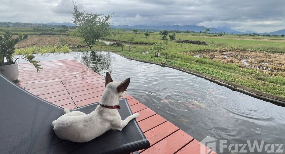 For sale and for rent 3 bedrooms house in Mae Taeng, Chiang Mai