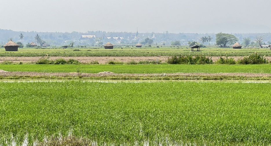 For sale and for rent 3 bedrooms house in Mae Taeng, Chiang Mai