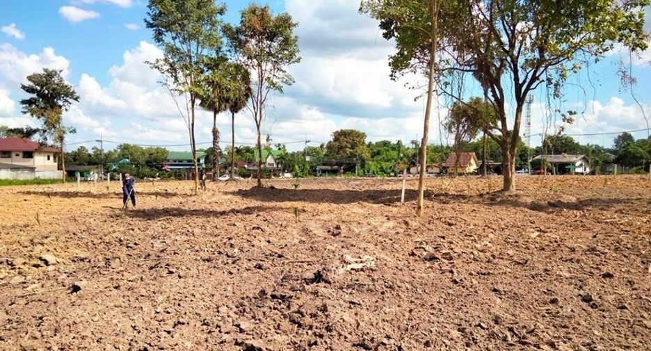 For sale land in Bang Lamung, Chonburi