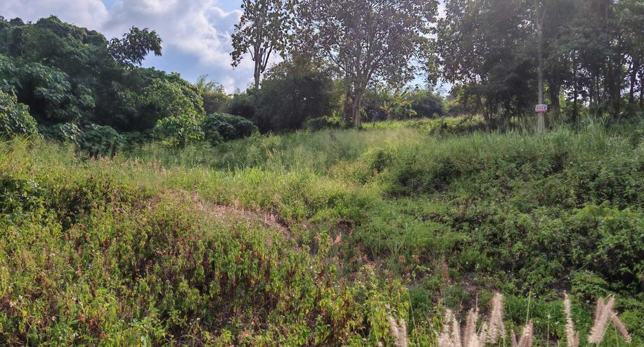 ขาย ที่ดิน ใน เกาะสมุย, สุราษฎร์ธานี