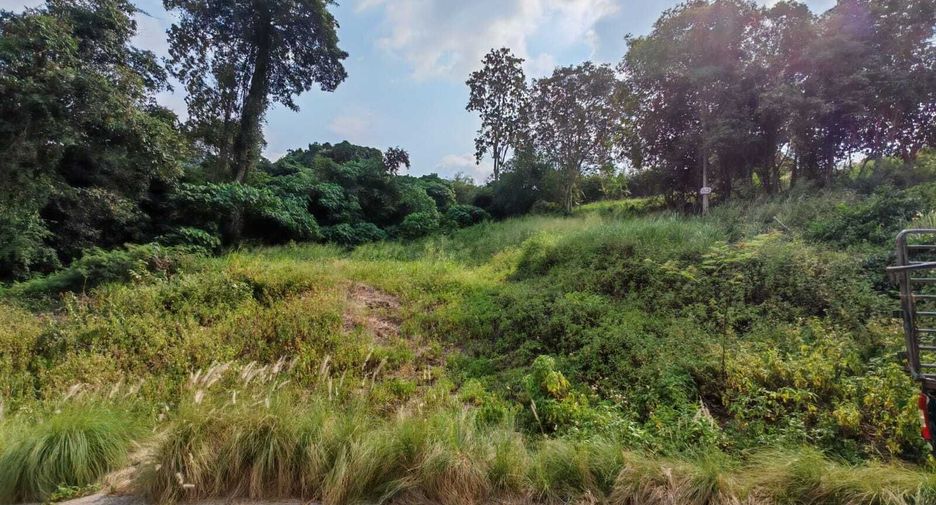 ขาย ที่ดิน ใน เกาะสมุย, สุราษฎร์ธานี