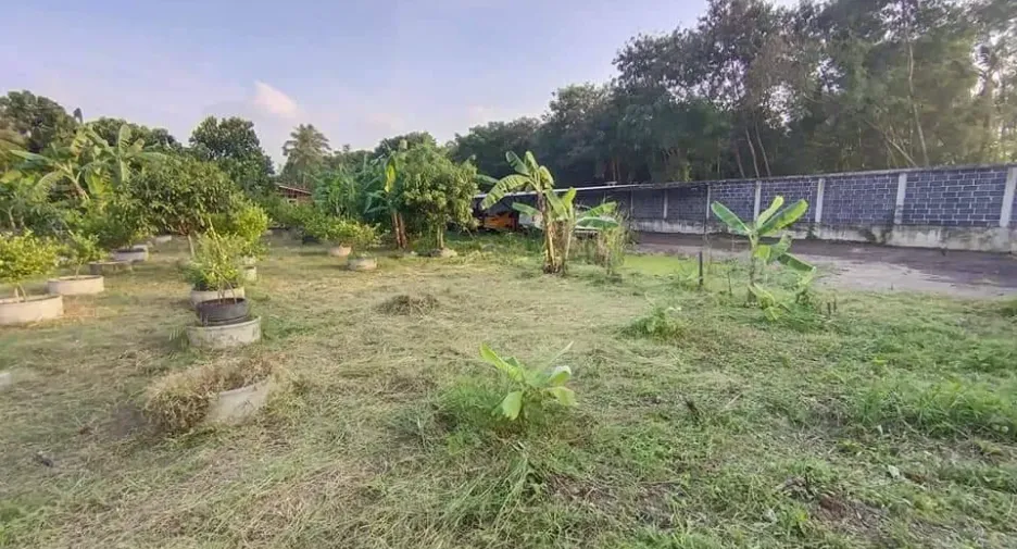 Casa en venta de 3 habitaciones en Thung Khru, Bangkok