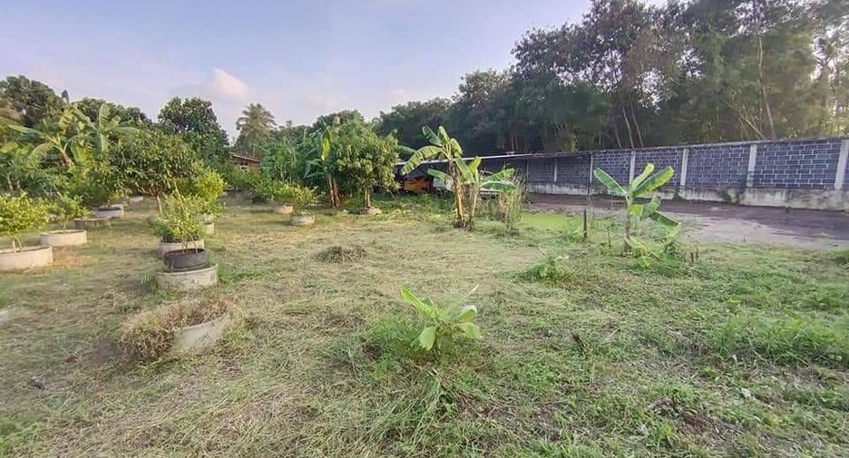 Haus zum Kauf mit 3 Zimmer in Thung Khru, Bangkok