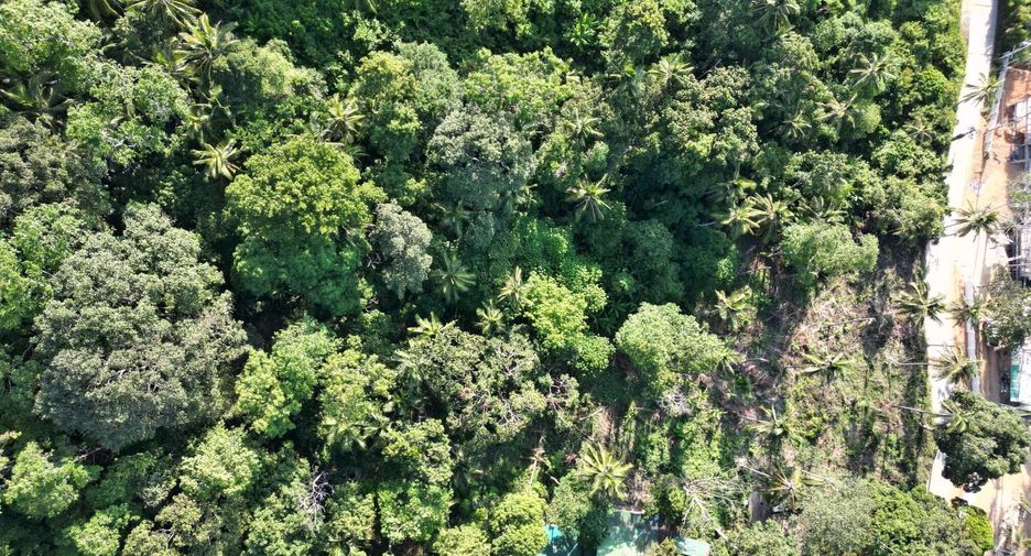 Terreno en venta en Ko Samui, Surat Thani
