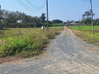 出售 土地 在 Saraphi, Chiang Mai