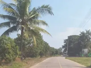 出售 土地 在 Saraphi, Chiang Mai