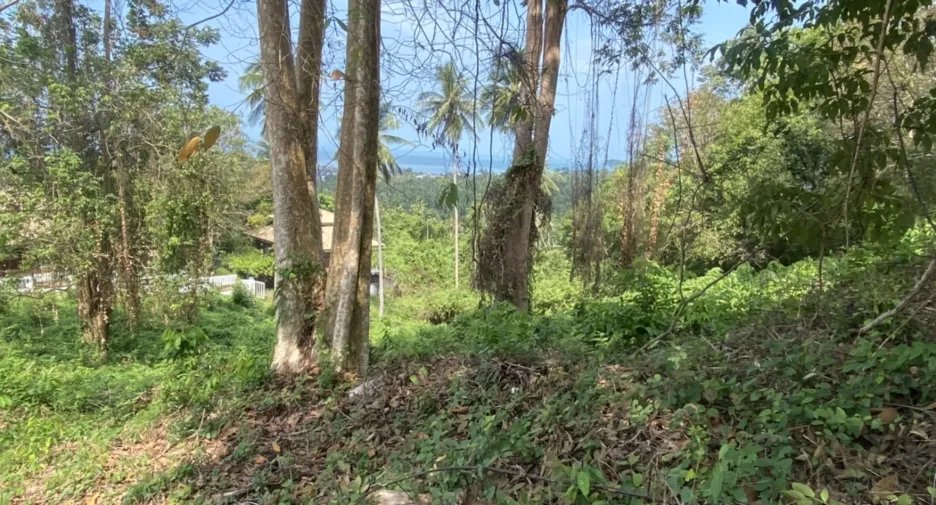 Grundstück zum Kauf in Ko Samui, Surat Thani