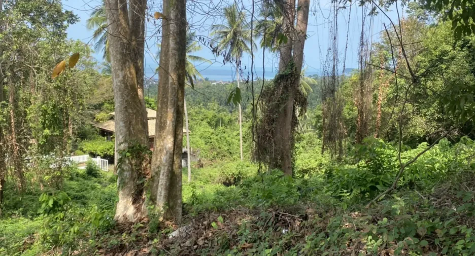 Grundstück zum Kauf in Ko Samui, Surat Thani