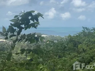 Grundstück zum Kauf in Ko Samui, Surat Thani