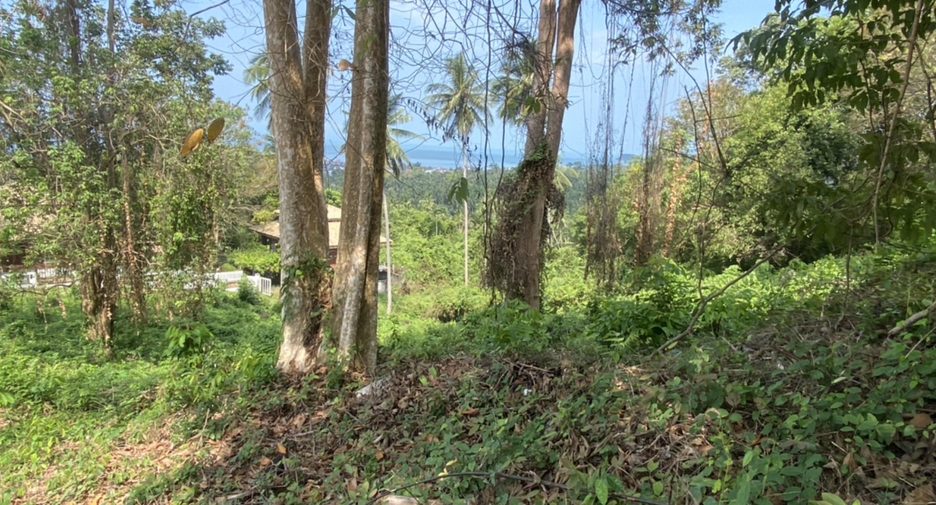 Grundstück zum Kauf in Ko Samui, Surat Thani