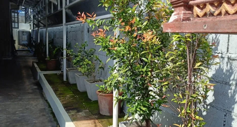 For sale 3 bedrooms house in Mueang Chiang Mai, Chiang Mai
