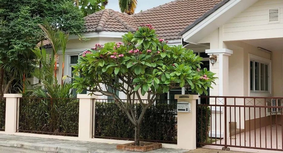 ให้เช่า 3 ห้องนอน บ้านเดี่ยว ใน สันทราย, เชียงใหม่
