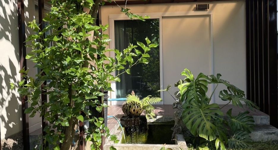 For sale 3 bedrooms house in San Sai, Chiang Mai
