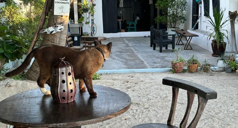 For sale 3 bedrooms villa in Ko Pha-ngan, Surat Thani