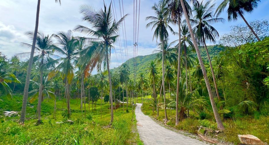 ขาย ที่ดิน ใน เกาะสมุย, สุราษฎร์ธานี