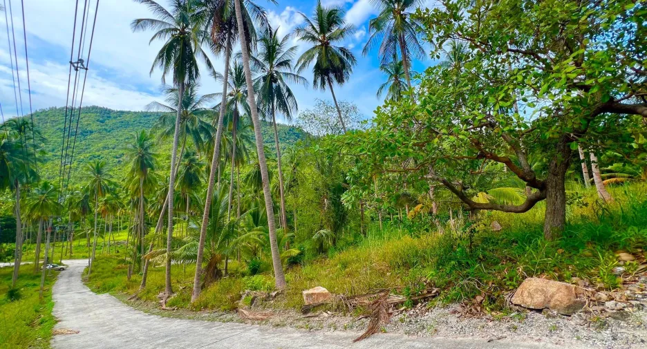 ขาย ที่ดิน ใน เกาะสมุย, สุราษฎร์ธานี