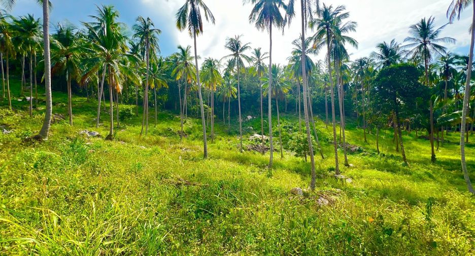 For sale land in Ko Samui, Surat Thani