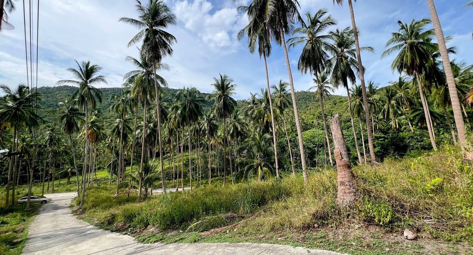 ขาย ที่ดิน ใน เกาะสมุย, สุราษฎร์ธานี