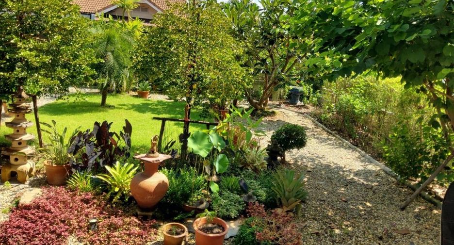 ขาย 3 ห้องนอน บ้านเดี่ยว ใน สันกำแพง, เชียงใหม่