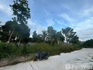 À vendre terrain à Ko Pha-ngan, Surat Thani