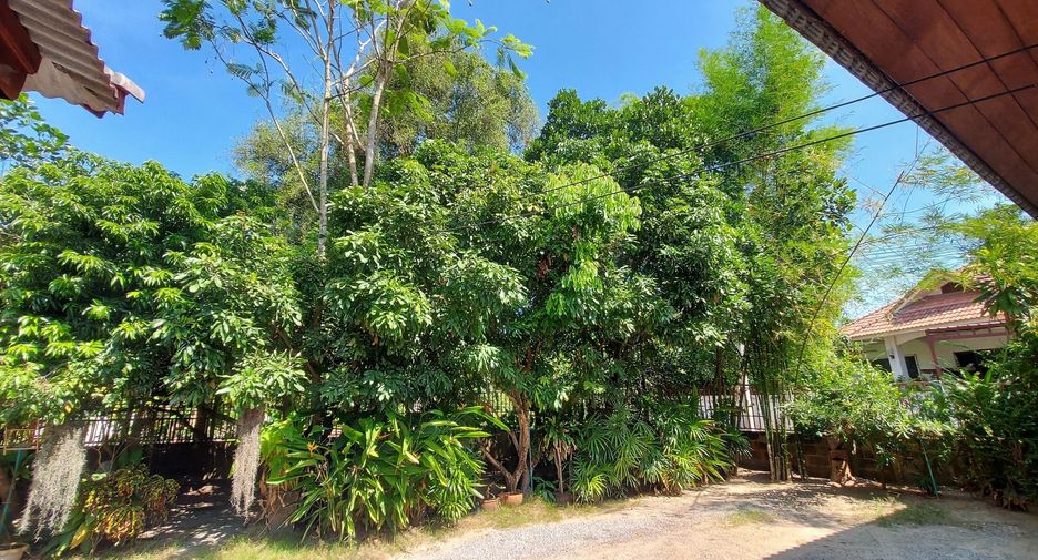 For sale 9 ベッドルーム hotel in Saraphi, Chiang Mai
