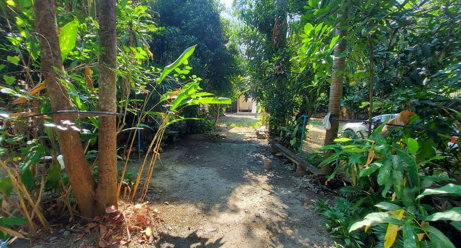 For sale 9 ベッドルーム hotel in Saraphi, Chiang Mai
