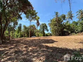 For sale land in Ko Samui, Surat Thani