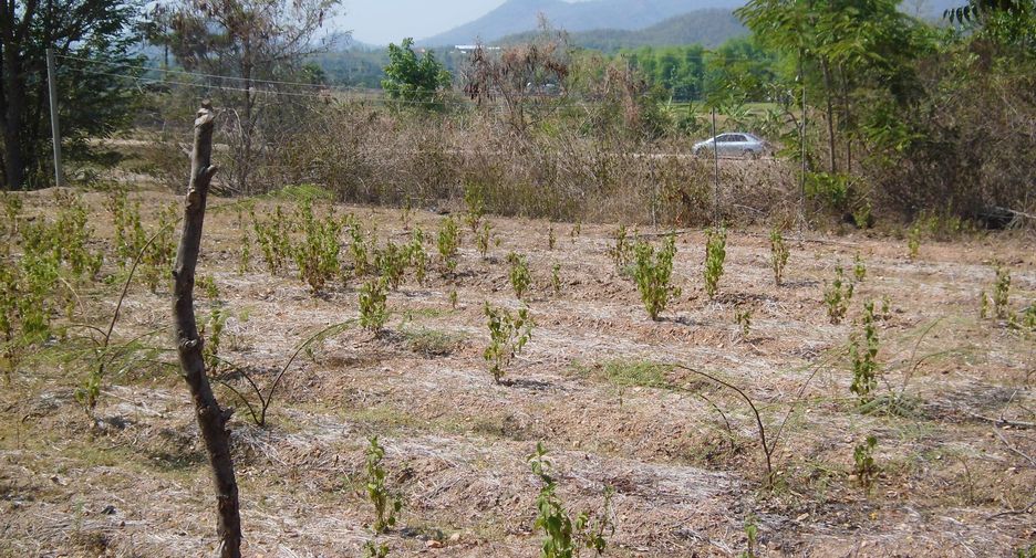 Terreno en venta en Chom Thong, Chiang Mai